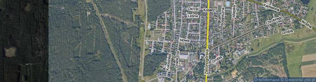 Zdjęcie satelitarne Ptasia ul.